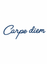 "Carpe Diem Inspirational Herbal Tattoo Sticker"