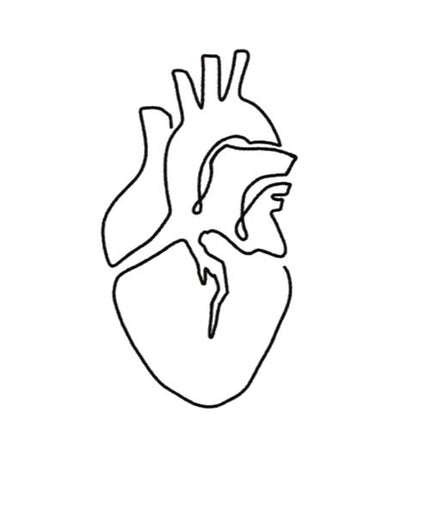 Heartbeat Whisper Heartbeat Whisper Temporary Tattoo – Minimalist Heart Line Design for Luck