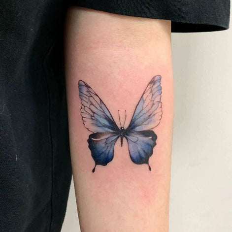 Indigo Wing Butterfly Temp Tattoo