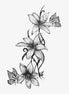 Lily & Butterfly Cascade — Temporary Tattoo